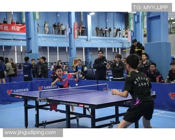 北京乒乓球队比赛经验分享与成长之路的深度探讨